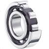 120 mm x 215 mm x 40 mm D1 SNR NU.224.E.G15 Single row Cylindrical roller bearing