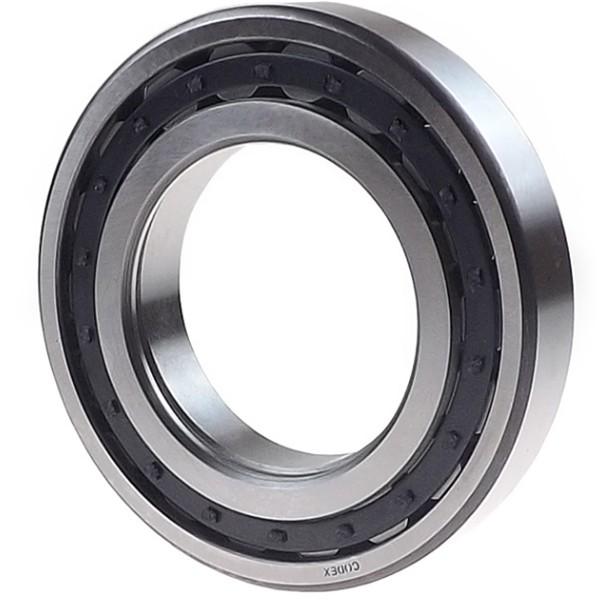 45 mm x 100 mm x 25 mm F SNR NU.309.E.G15 Single row Cylindrical roller bearing #1 image